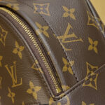 Louis Vuitton Palm Springs Mini M44873 Brown